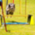 2295fa6cb75f764f7063dae24d6b4f7a